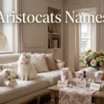 Aristocats Names