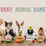 Funny Animal Names